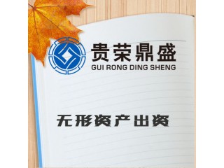 河南省許昌市無形資產出資評估今日新訊