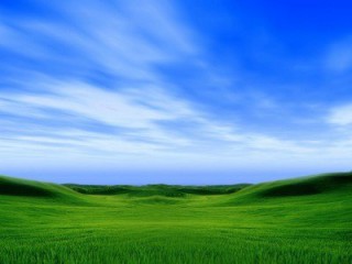 2025山東醫療器械展|2025山東春季醫博會