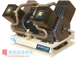 35GLEM12-09300車載打氣泵/B16VXB4/12-Y電動汽車空壓機