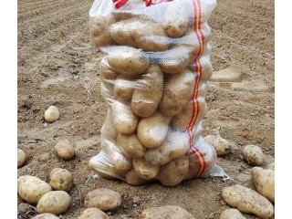 圓蔥白菜編甘藍(lán)大蒜編織袋河北生產(chǎn)廠家